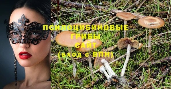 дмт Покров