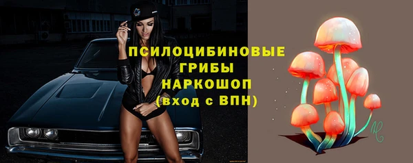 бошки Покровск
