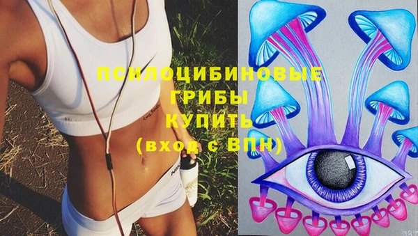 бошки Покровск