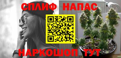 каннабис Коммунар