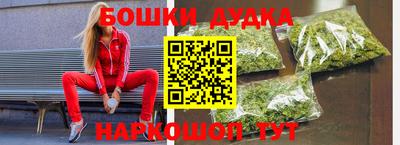 индика Беслан