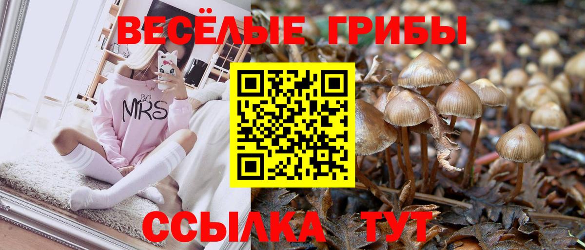 что такое   Псилоцибиновые грибы Cubensis  Вход с VPN  Рузаевка 