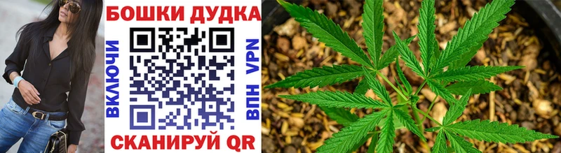 Каннабис индика  гидра зеркало  Рузаевка 